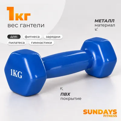 Гантель Sundays Fitness WD1451 (1кг, синий)