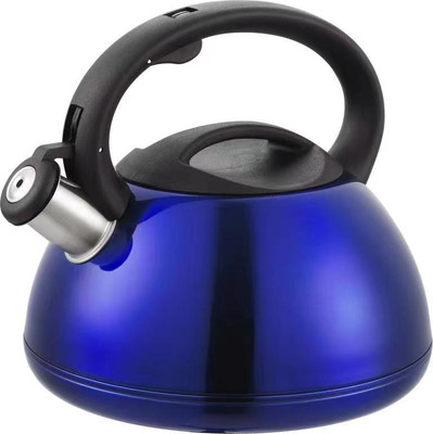 Чайник со свистком Kaisa Villa KV-501 (синий)