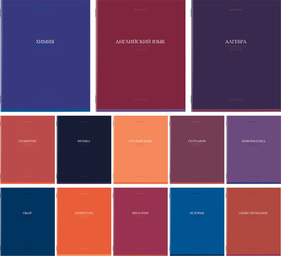 Набор предметных тетрадей Brauberg 405161 (36л)