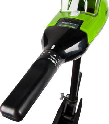 Мотор лодочный Greenworks G40TM55 / 9000207