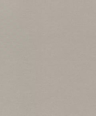 Виниловые обои Rasch 971392