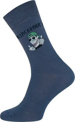 Носки Брестские 2146 February 23 рис.600 (р.27, темно-серый)