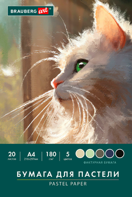 Набор бумаги для рисования Brauberg Art / 116345 (20л, 5цв)