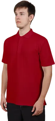 Футболка Sardoba Tekstil Поло (p.XXL, бордовый)