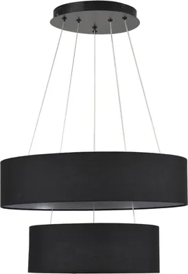 Потолочный светильник Lumion Sava 8373/55L