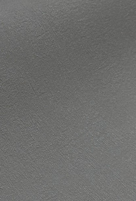 Виниловые обои Casa Alpina ТФ-11-299-02