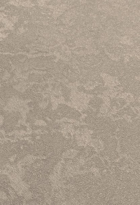 Виниловые обои Casa Alpina ТФ-11-301-03