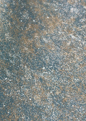 Виниловые обои Casa Alpina ТФ2-11-148-04