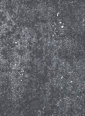 Виниловые обои Casa Alpina ТФ2-11-167-05