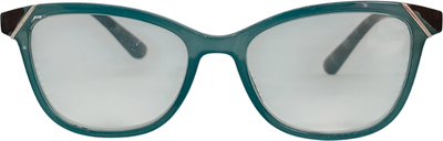 Готовые очки WDL Read p713 +2.50