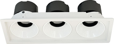 Точечный светильник Wertmark Dorsum WTD.O21.000.30.30