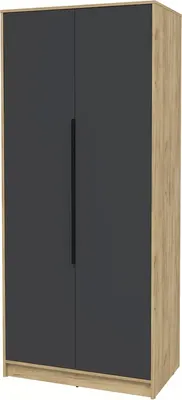 Шкаф Interline Концепт КТ-Ш2 Глосс (дуб золотой/пепел)