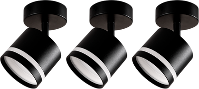 Комплект спотов Truenergy 2101803 (3шт, черный)
