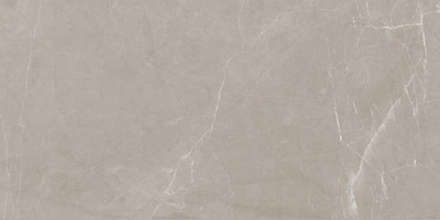 Плитка Lasselsberger Ceramics Блюм 6260-0017 (603x300, мокко)