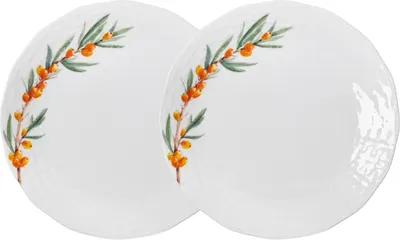 Набор тарелок Fissman Sea Buckthorn 13019 (2шт)