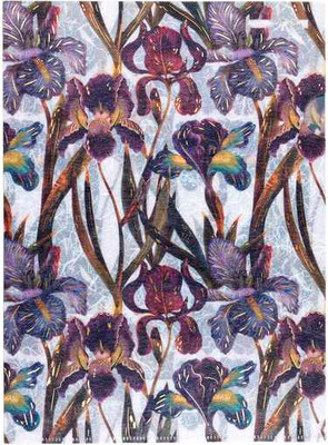 Папка-уголок Bruno Visconti Ирисы 14-038/12