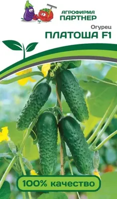 Семена Агрофирма Партнер Огурец Платоша F1 (5шт)