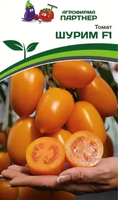 Семена Агрофирма Партнер Томат Шурим F1 (10шт)