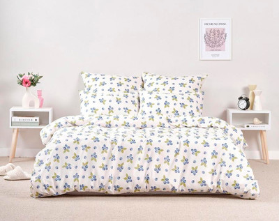 Комплект постельного белья Веселина Блуберри 20700-1+20312-11 1.5сп (70x70)