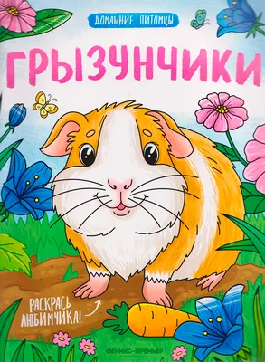 Раскраска Феникс-премьер Грызунчики, мягкая обложка