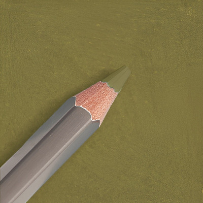 Набор цветных карандашей Малевичъ GrafArt Pro / 194570 (6шт, хаки темный 570)