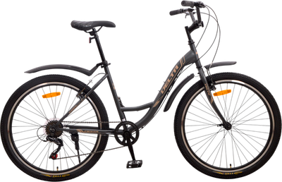 Велосипед DeltA Fiesta / FIESTA26.17.GR (26, серый, разобранный, в коробке)