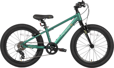 Детский велосипед Maxiscoo 5Bike 20 M 2026 / MSC-M5-2021 (зеленый матовый, разобранный, в коробке)