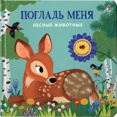 Развивающая книга Робинс Погладь меня. Лесные животные (9785436610108)