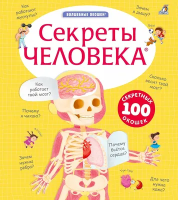 Развивающая книга Робинс Волшебные окошки. Секреты человека (9785436610214)