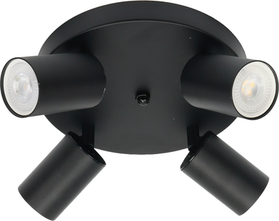 Спот Truenergy 21492