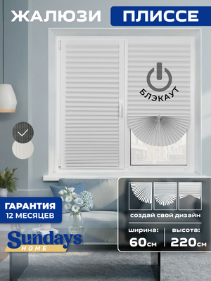 Штора-плиссе Sundays Home 220-01 Самоклеящаяся 60х220 (белый)