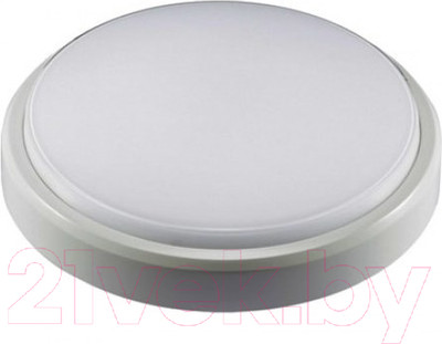 Светильник ЖКХ JAZZway 2852113