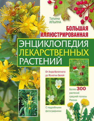 Энциклопедия Эксмо Большая иллюстрированная энциклопедия лекарственных растений (Ильина Т. 9785042346651)