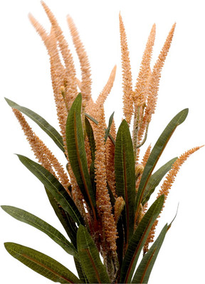 Искусственная ветка MONAMI TM-100