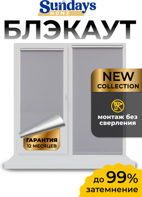 Рулонная штора Sundays Home LM 168-07 48x160 (серый)