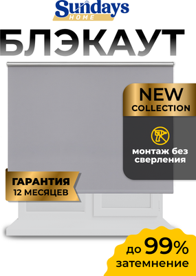 Рулонная штора Sundays Home LM 168-07 110x160 (серый)