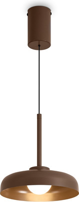Потолочный светильник Freya Movement FR5602PL-L5BR