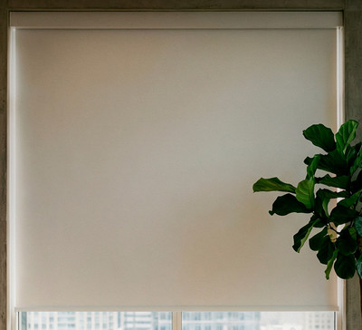 Рулонная электроштора Эскар Blackout 180х200 / 88801 (белый)