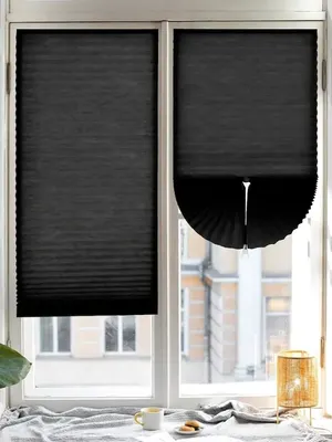 Штора-плиссе Эскар 120х180 / 140804120 (черный)