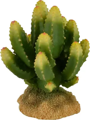 Декорация для аквариума Gloxy Стапелия / GL-PT230