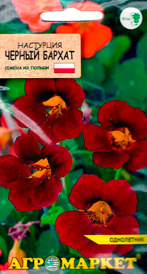 Семена цветов Агромаркет Настурция Черный бархат (8шт)
