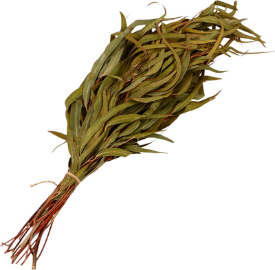 Банный веник Добропаровъ Эвкалиптовый / 683771