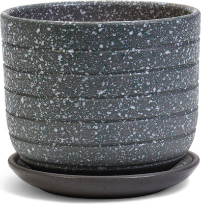 Вазон Sima-Land Пряности 10917378