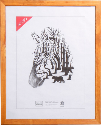 Рамка ZEBRA Anderson 40x50 / 4194666