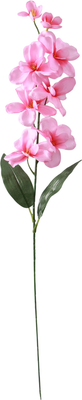 Искусственные цветы Poetry in flowers Орхидея амезиелла / 701709 (розовый)