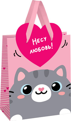 Пакет подарочный Meshu Give love MS_61659