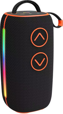 Портативная колонка Bseng BOOMS540 (черный)