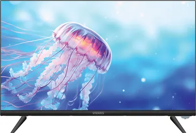 Телевизор Vivaris 24 One ST