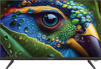 Телевизор Vivaris 24 One T