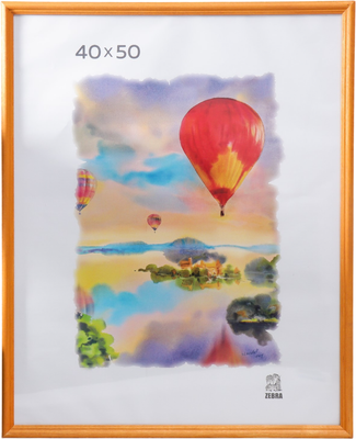 Рамка ZEBRA Albuquerque 40x50 / 3839469